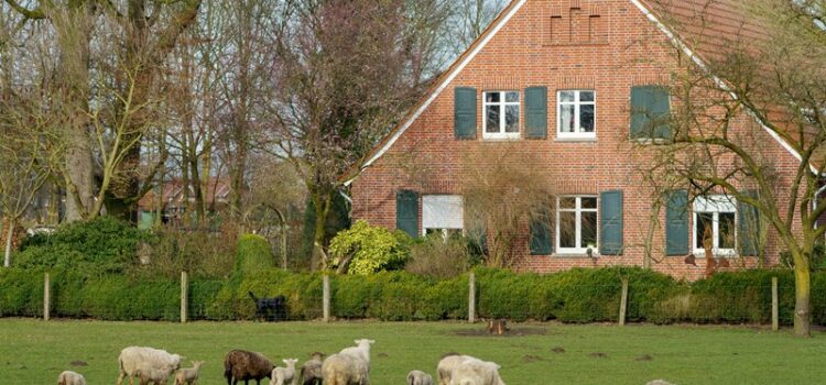 Grundstücksübertragung als Spekulationsgewinn