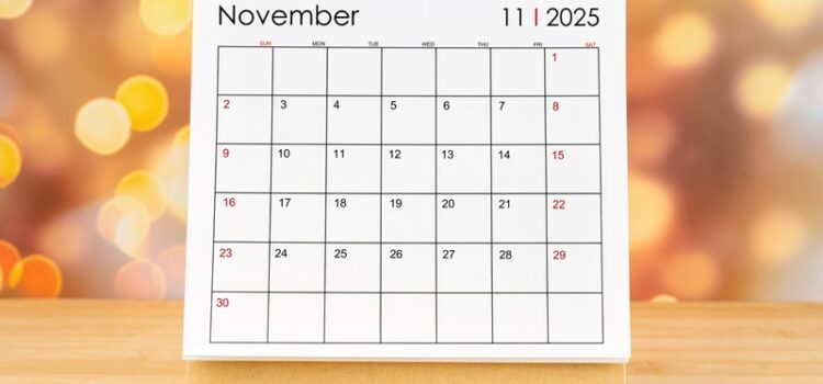 Steuertermine November 2025