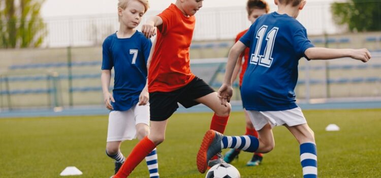 Umsatzsteuer für Leistungen eines gemeinnützigen Sportvereins